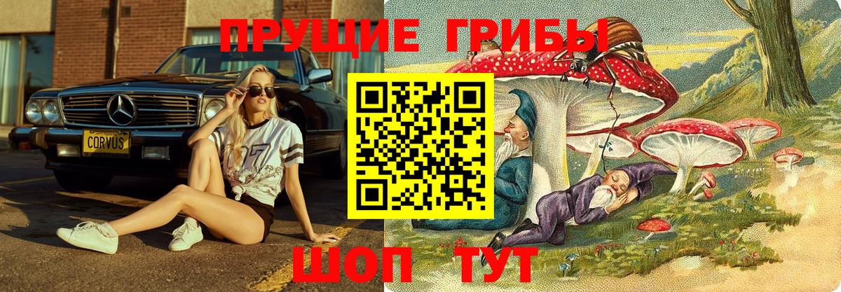 Шадринск  Псилоцибиновые грибы мицелий  Вход с VPN 